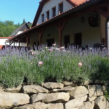 Rozmaryn 3* Vsetin